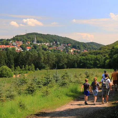 Bildungs- Und Tagungshaus Haus Neuland מלון 3*